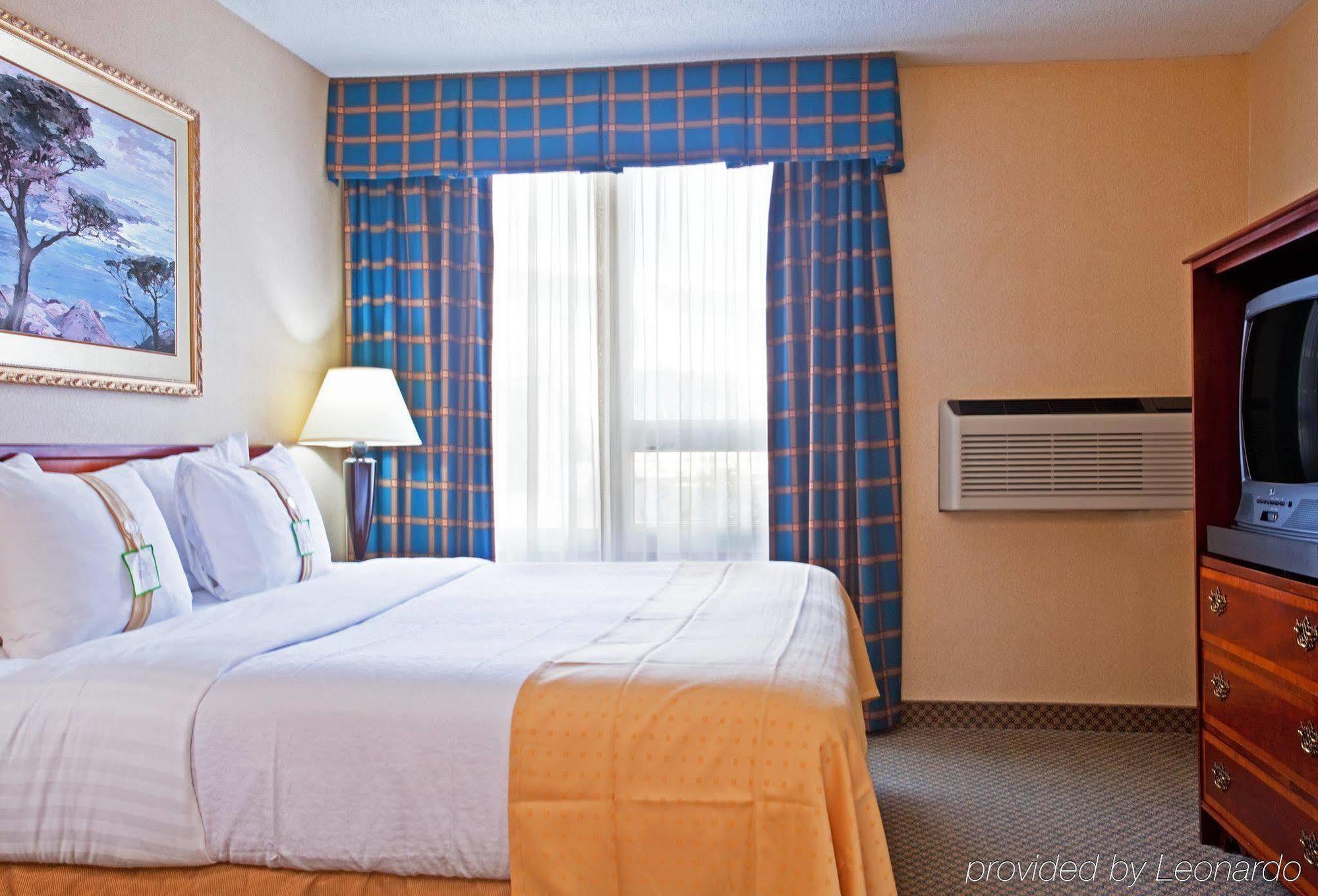 Holiday Inn Chicago - Elk Grove, An Ihg Hotel Elk Grove Village Habitación foto